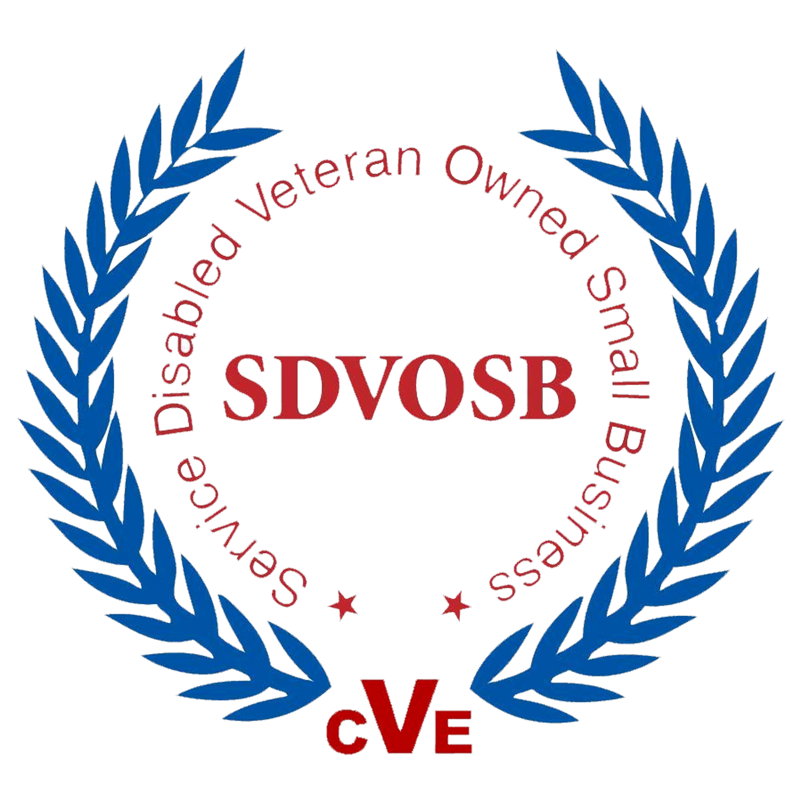 service disabled veteran owned small business icon